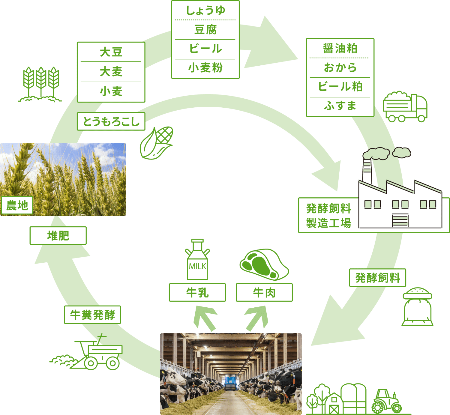 バイオサイクルの図