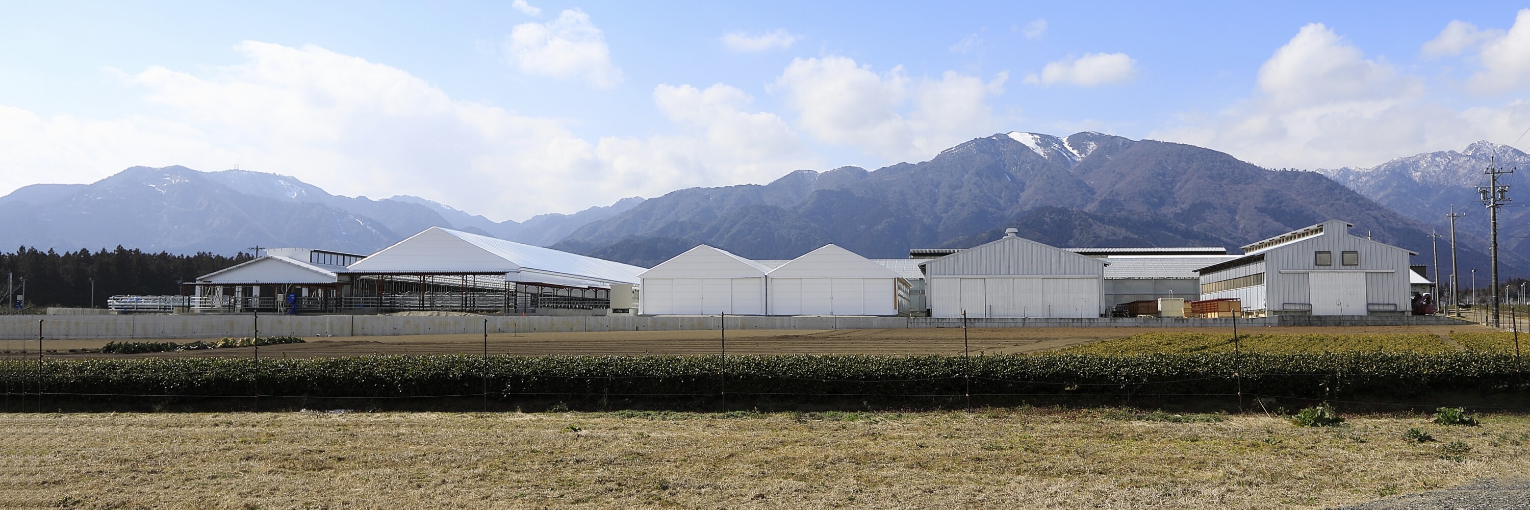 あのつ牧場株式会社の写真